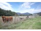 1020 Buxton Marysville Road, Marysville VIC 3779
