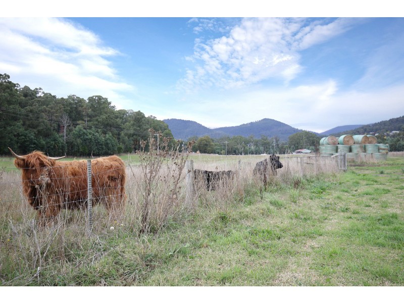 1020 Buxton Marysville Road, Marysville VIC 3779