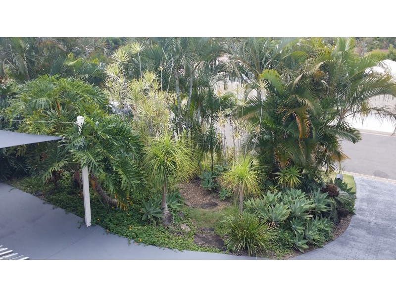 37 Mullewa Crescent, Helensvale QLD 4212