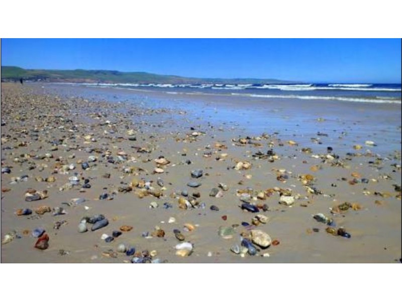 27 Norman Road, Aldinga Beach SA 5173