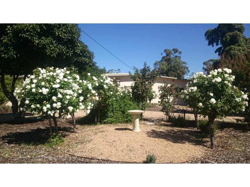 27 Raftery Road Kialla, Kialla VIC 3631