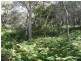 30 Marlin Circuit, Hat Head NSW 2440