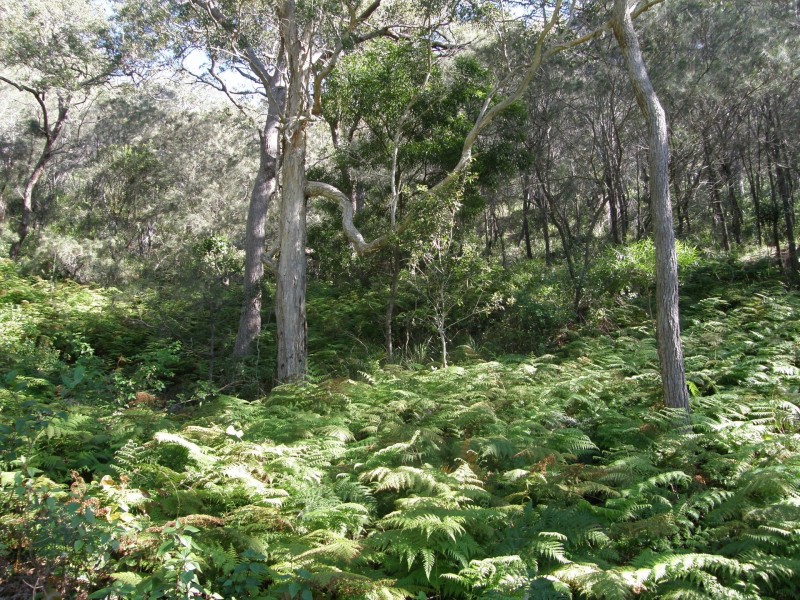 30 Marlin Circuit, Hat Head NSW 2440