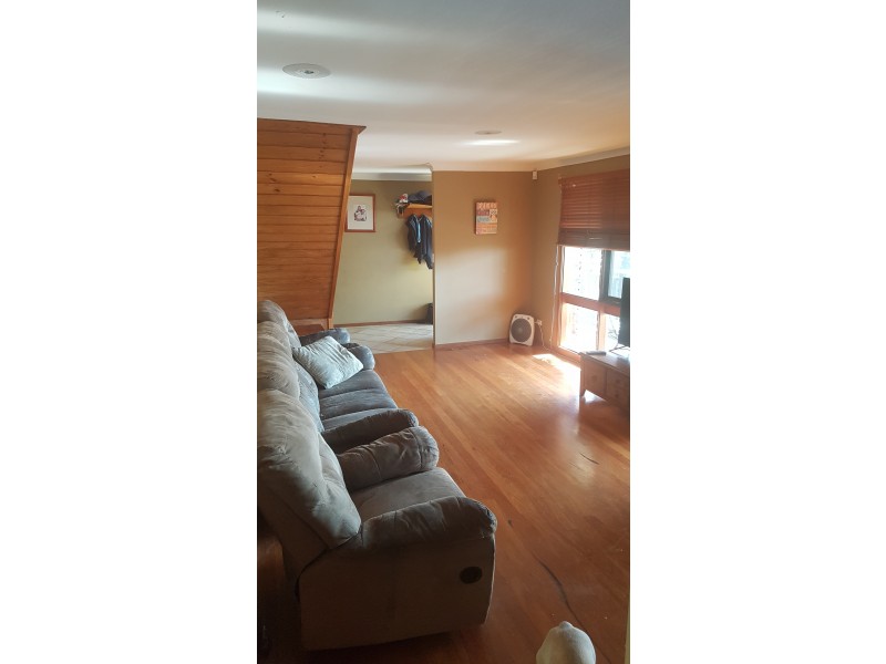 3 Greenwood place, Barrack Heights NSW 2528