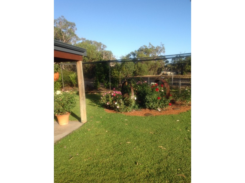 37 Farmhouse Link, Two Rocks WA 6037
