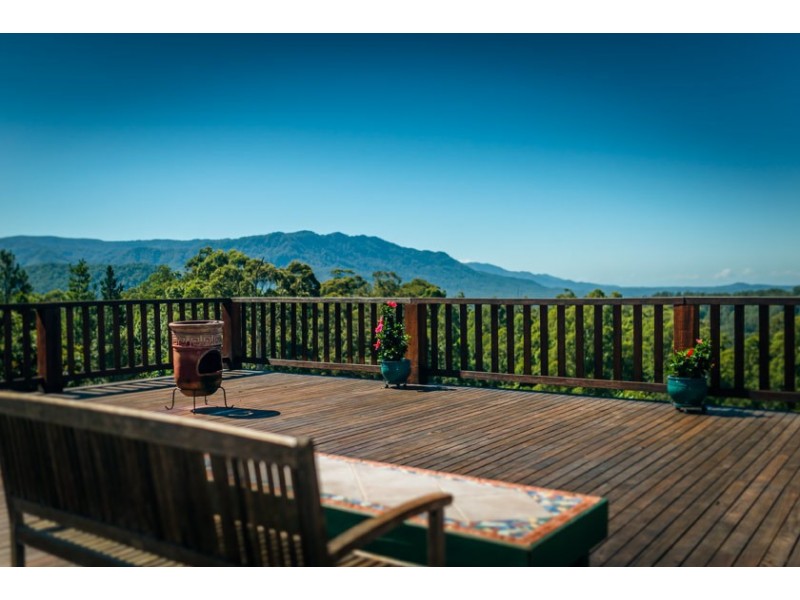 701 Darkwood Road, Thora NSW 2454