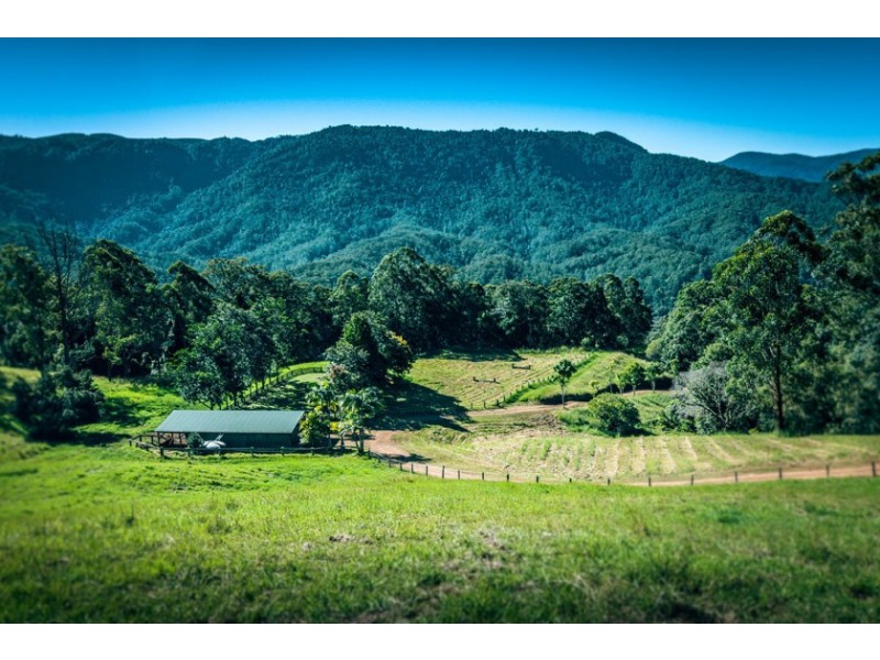 701 Darkwood Road, Thora NSW 2454
