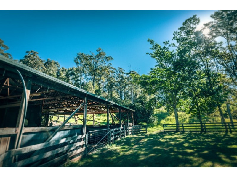 701 Darkwood Road, Thora NSW 2454