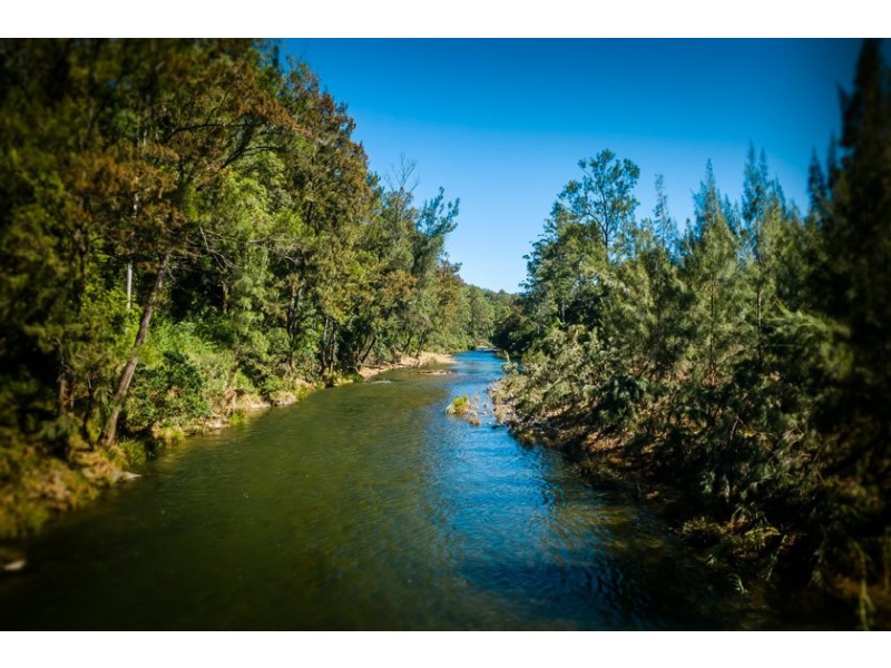 701 Darkwood Road, Thora NSW 2454