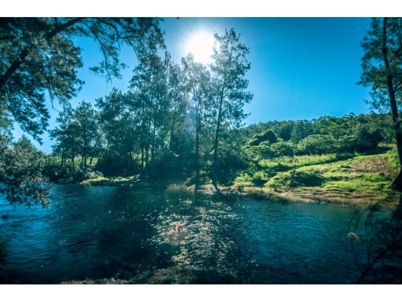 701 Darkwood Road, Thora NSW 2454