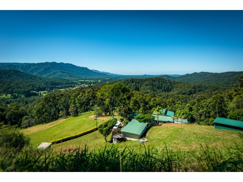 701 Darkwood Road, Thora NSW 2454