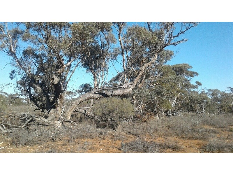 10641 Goyder Highway, Taylorville SA 5330