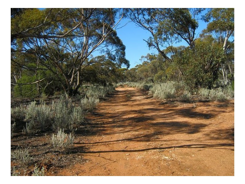 10641 Goyder Highway, Taylorville SA 5330