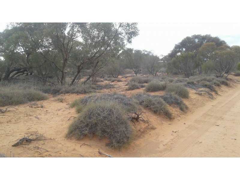 10641 Goyder Highway, Taylorville SA 5330