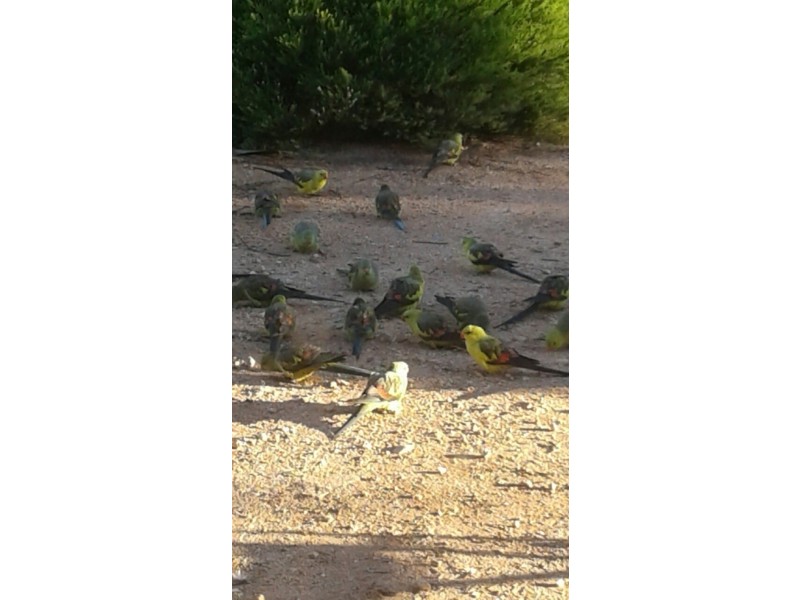 10641 Goyder Highway, Taylorville SA 5330