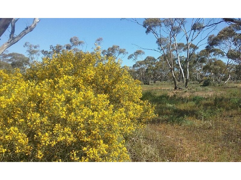 10641 Goyder Highway, Taylorville SA 5330