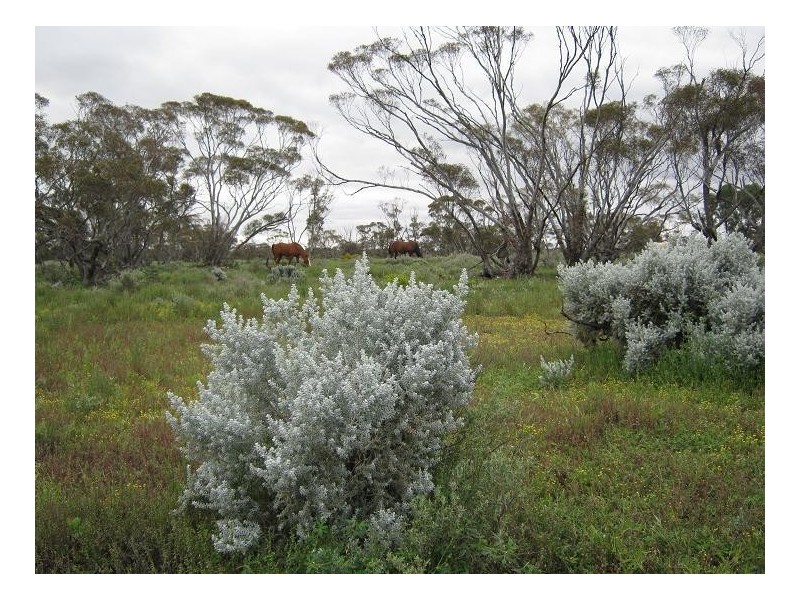 10641 Goyder Highway, Taylorville SA 5330