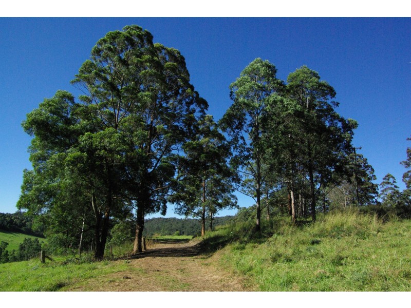 Lot 3 Schultz Road, Billys Creek NSW 2453