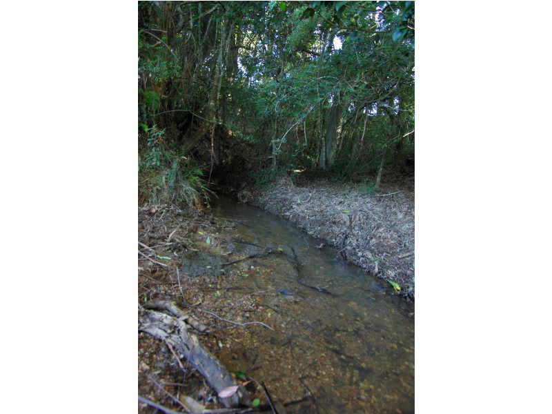 Lot 3 Schultz Road, Billys Creek NSW 2453