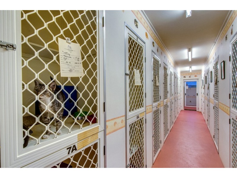 79-83 ROSIA ROAD, Park Ridge South QLD 4125