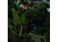 119 Carter Road, Nambour QLD 4560