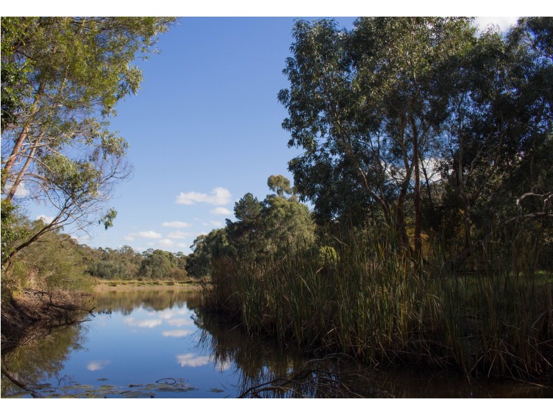 64 Robertson Road, Kersbrook SA 5231