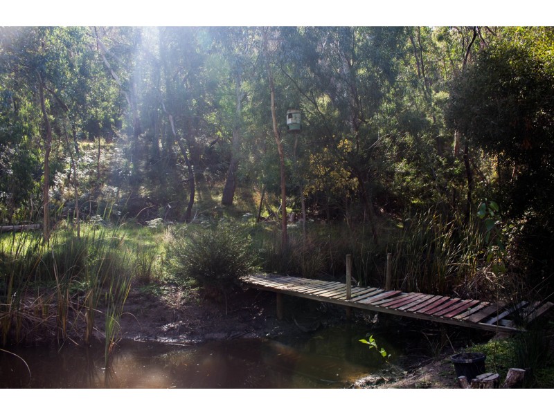 64 Robertson Road, Kersbrook SA 5231