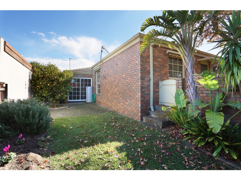 3/209 Mt Pleasant Road, Highton VIC 3216