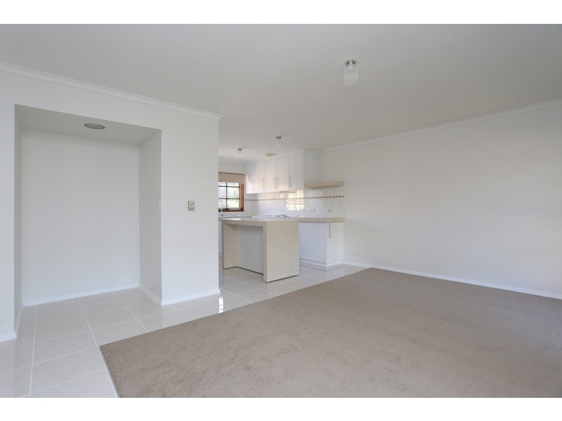 3/209 Mt Pleasant Road, Highton VIC 3216