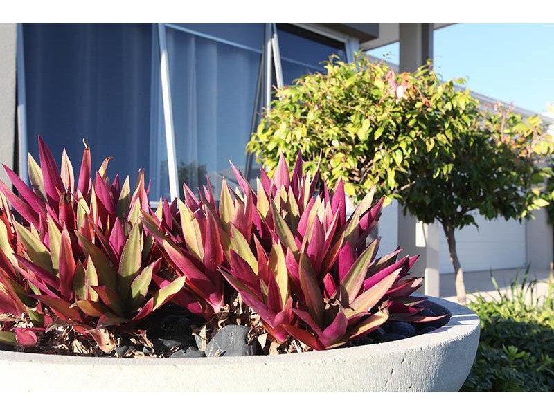 31 Tipperary Bend, Canning Vale WA 6155