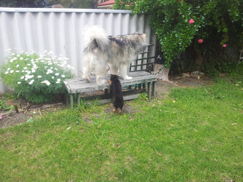 18 Parker Street, Lockyer WA 6330