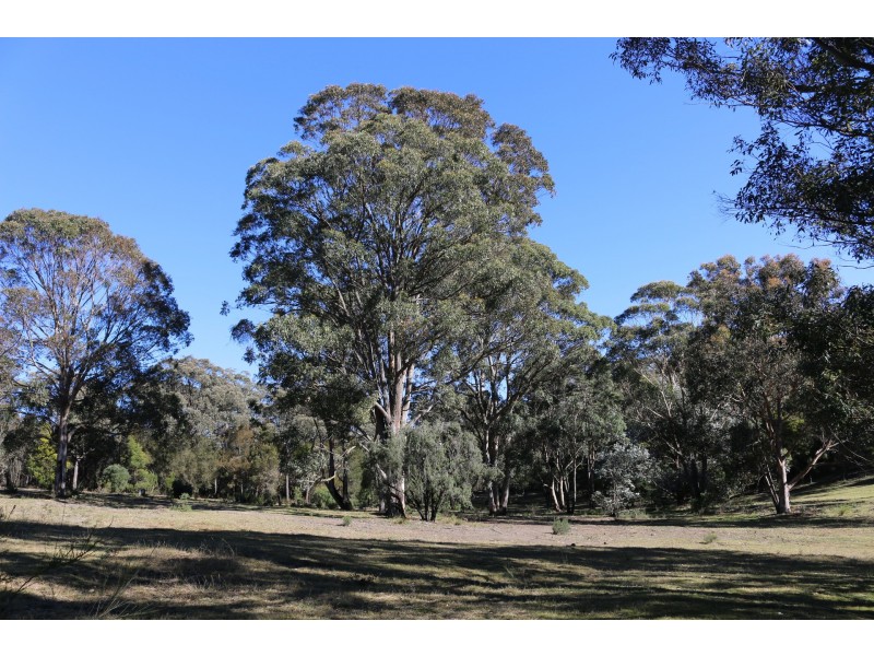 1621 Brayton Road, Brayton NSW 2579