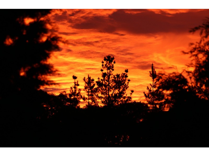 1621 Brayton Road, Brayton NSW 2579