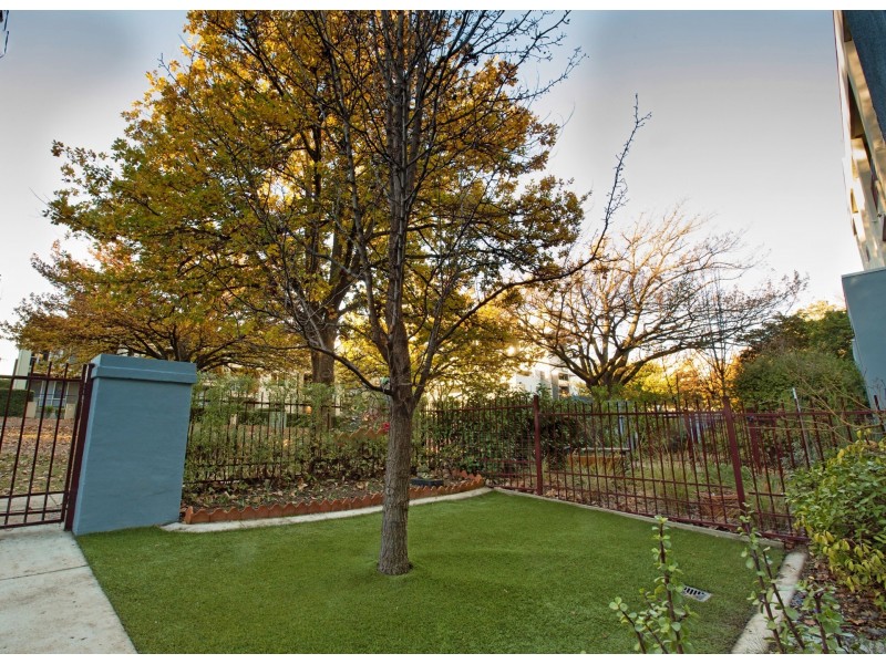 4/8 Gould Street, Turner ACT 2612