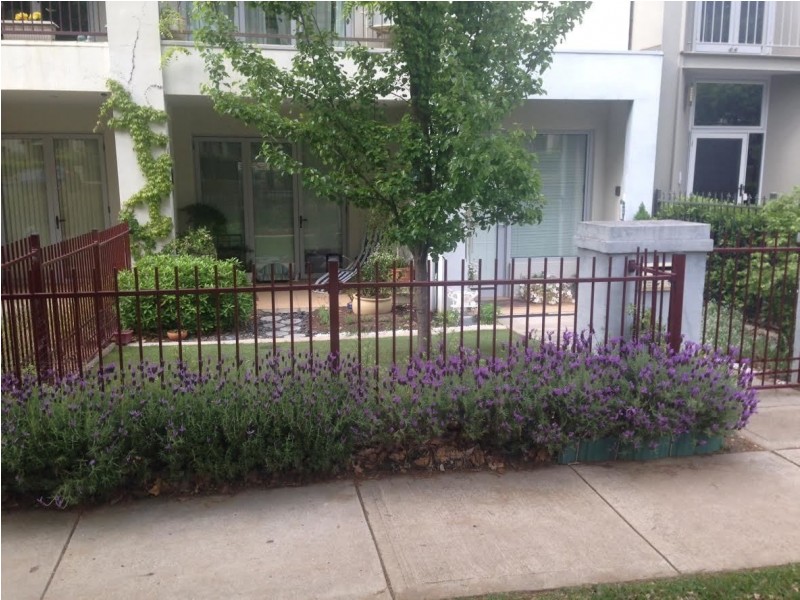 4/8 Gould Street, Turner ACT 2612