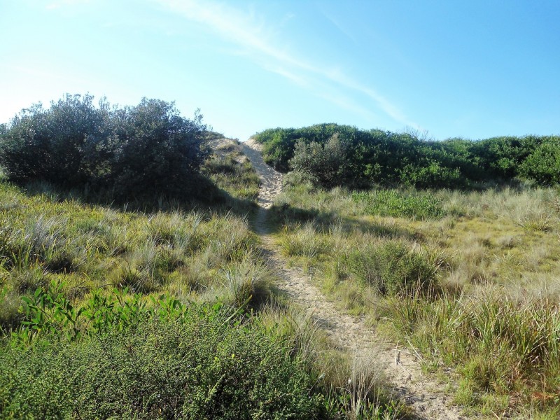 2313 The Shoreline Drive, The Honeysuckles VIC 3851