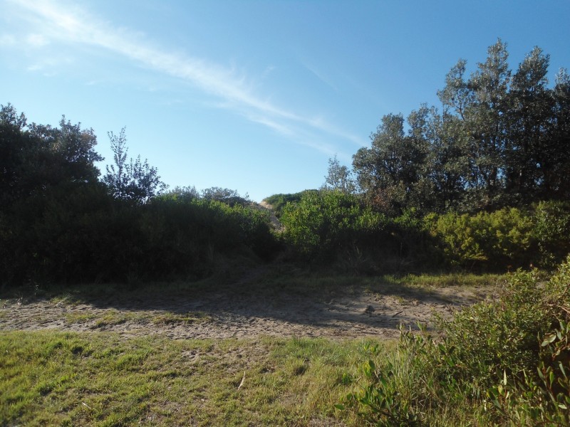 2313 The Shoreline Drive, The Honeysuckles VIC 3851