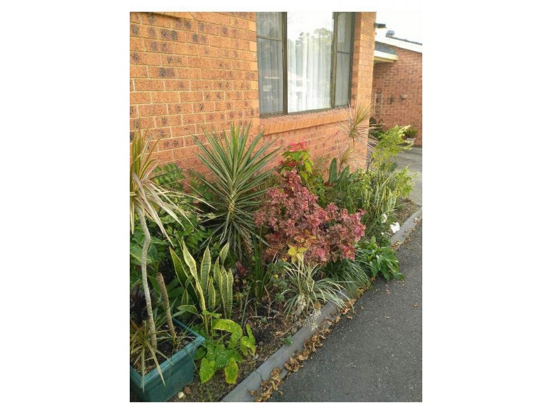 3/39 West High Street, Coffs Harbour NSW 2450