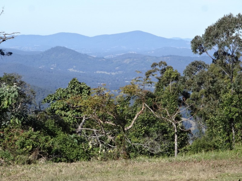 Elands NSW 2429