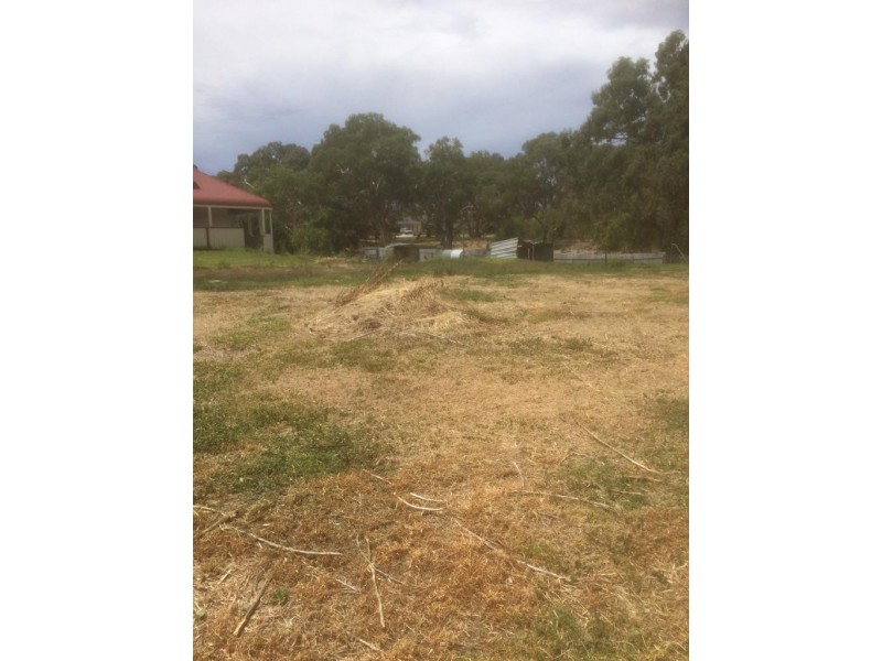 5 Quintal Avenue, Modbury SA 5092