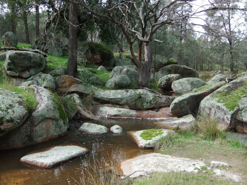 263 Ivydale Rd, Gregadoo NSW 2650