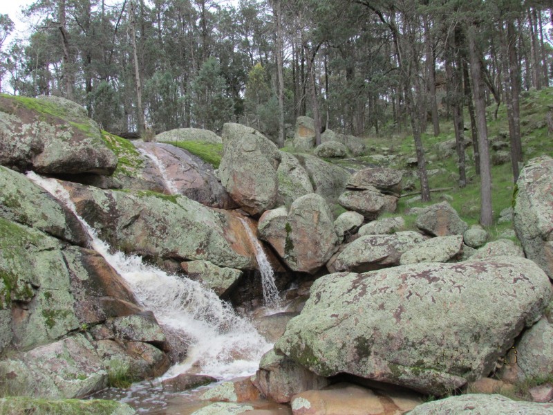 263 Ivydale Rd, Gregadoo NSW 2650