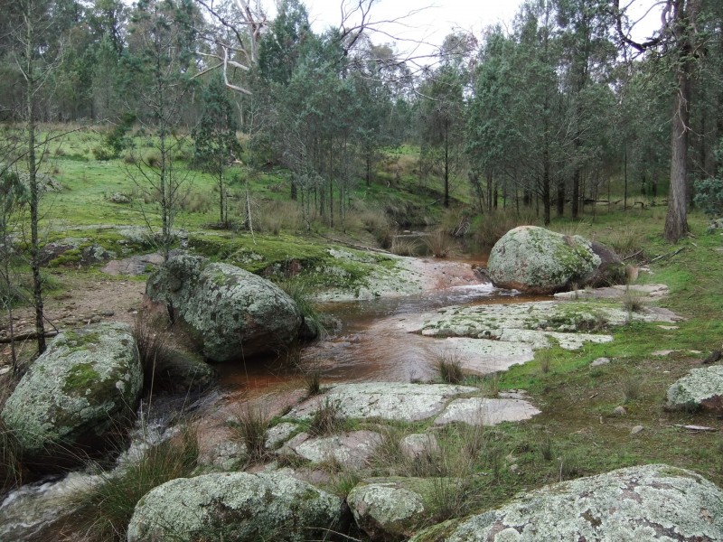 263 Ivydale Rd, Gregadoo NSW 2650