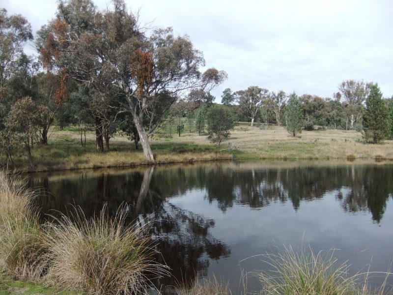 263 Ivydale Rd, Gregadoo NSW 2650