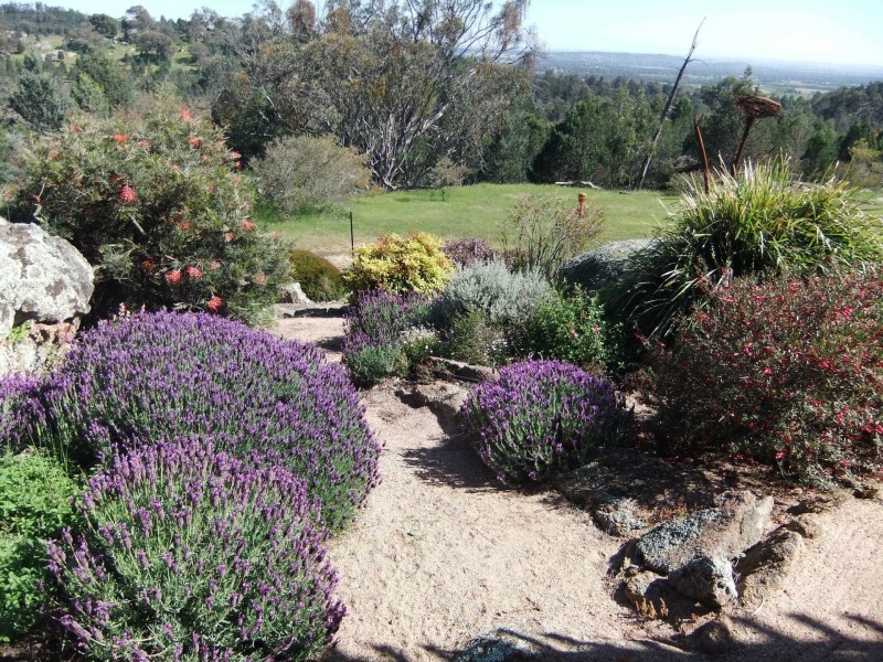 263 Ivydale Rd, Gregadoo NSW 2650