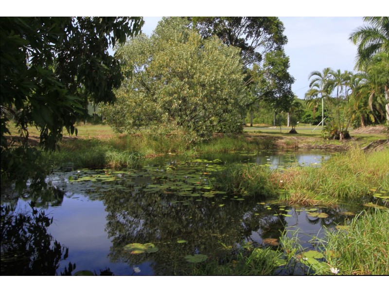 1 Bowman Close, Wonga Beach QLD 4873