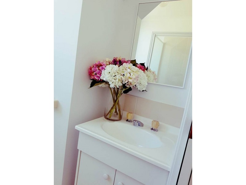 32 Mount Darragh Road, South Pambula NSW 2549