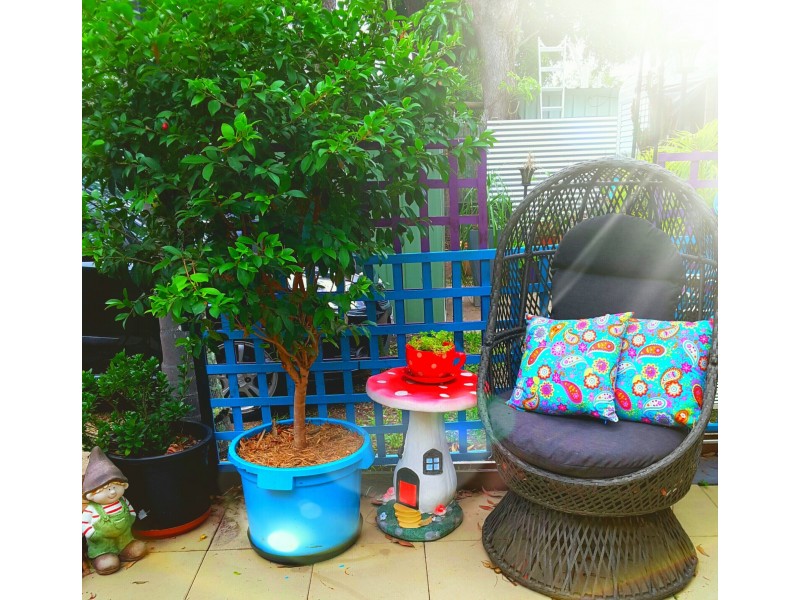 Site 18/26 Corser Street, Point Vernon QLD 4655