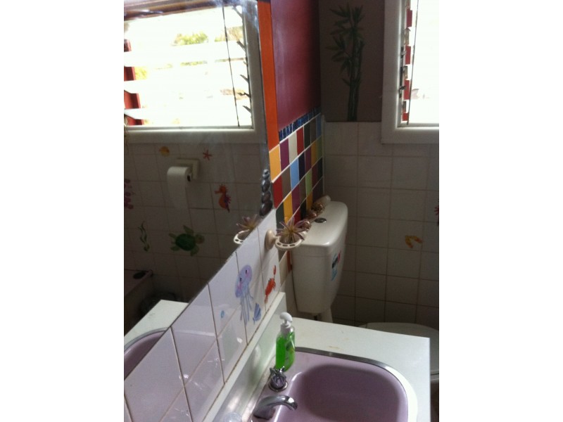 60 Brook street, Woomelang VIC 3485