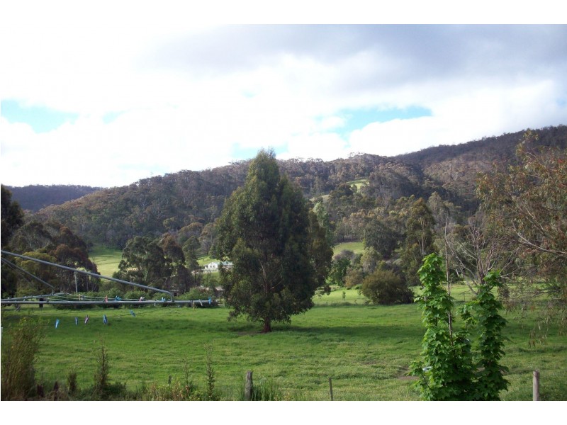 963 Elmhurst-Glenpatrick Road, Glenpatrick VIC 3469